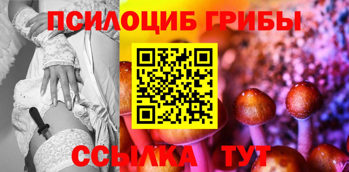Псилоцибиновые грибы GOLDEN TEACHER  Вход с VPN  Псилоцибиновые грибы Psilocybine cubensis  Малоярославец 
